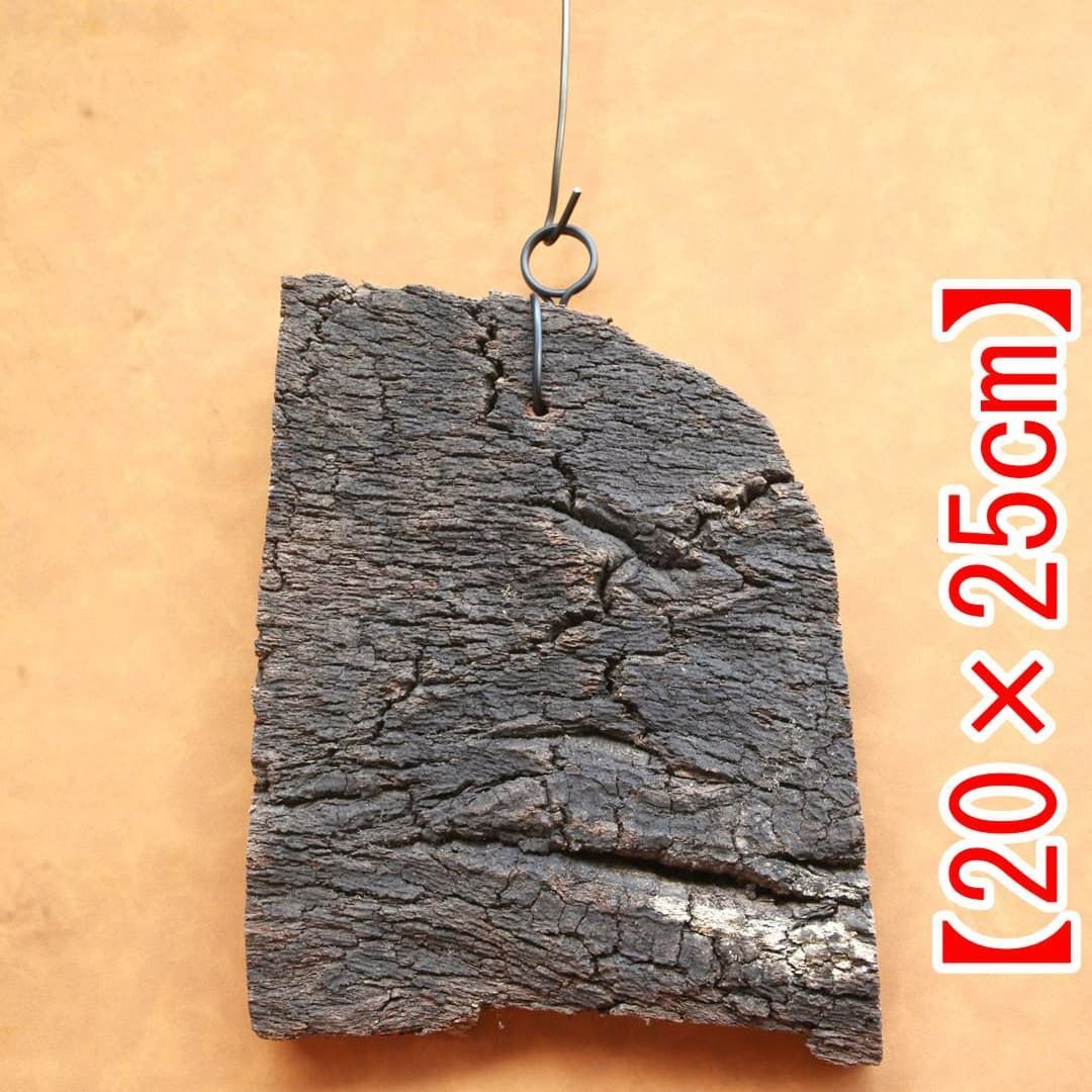 A651 ポルトガル産 高密度加工コルク板 コルク樹皮 バージンコルク