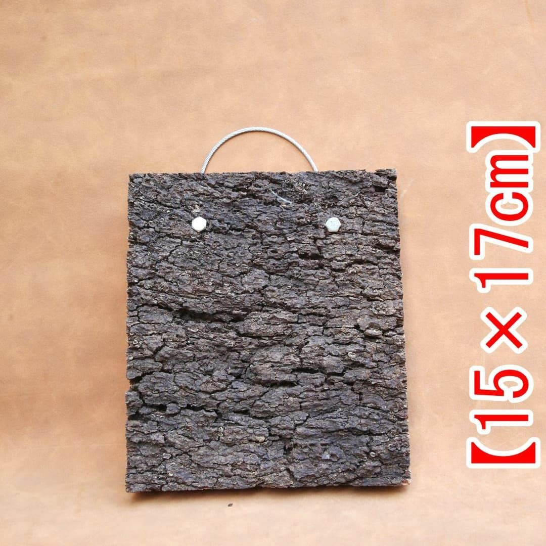 A364 ポルトガル産 高密度加工コルク板 コルク樹皮 バージンコルク