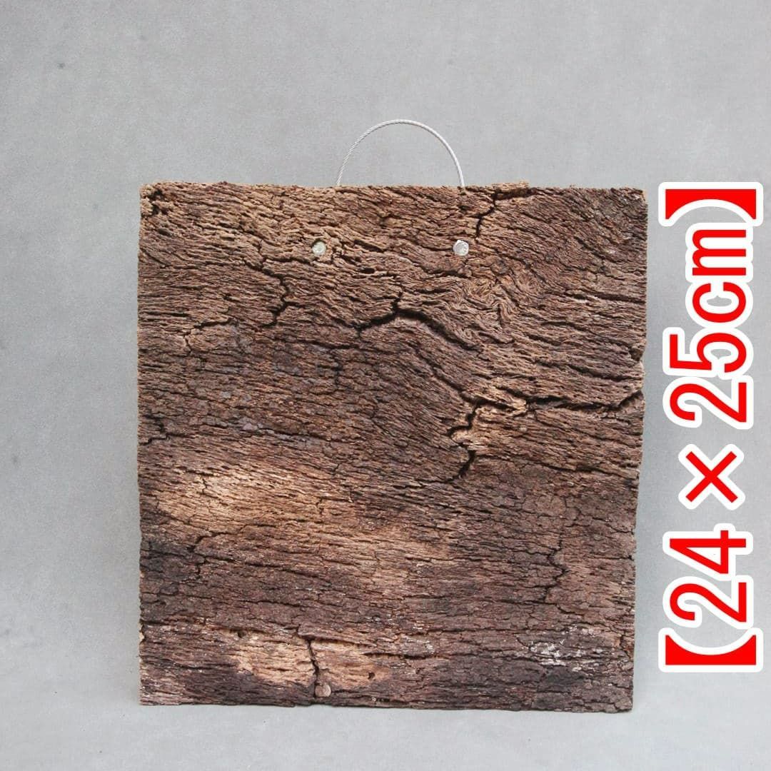 A542 ポルトガル産 高密度加工コルク板 コルク樹皮 バージンコルク