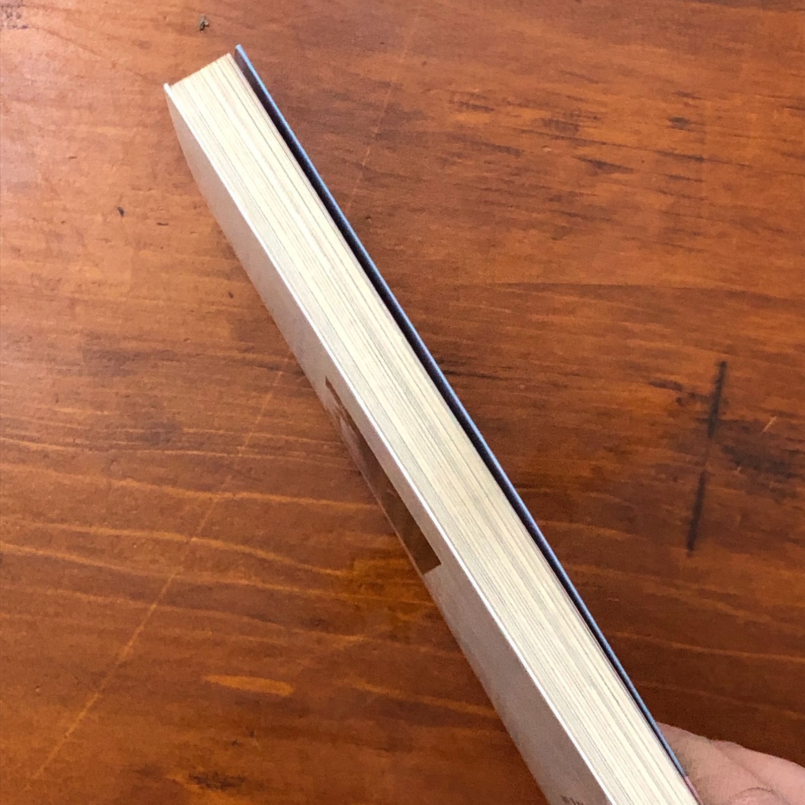 刺青師の女（妻）たち 中野弘美 恵文社 1988年7月30日 初版発行 ☆刺青