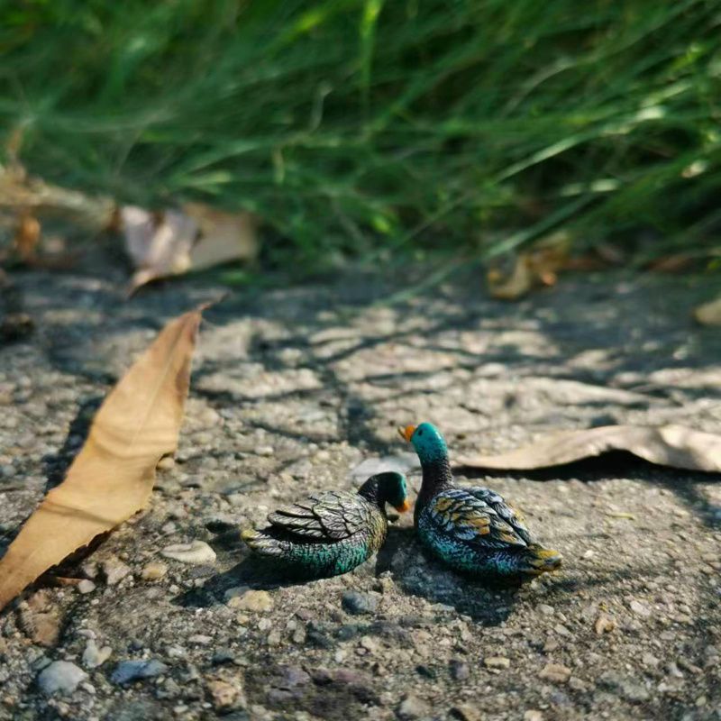 置物 オブジェ ガーデンオーナメント カモ かも 鴨 10個セット ミニ