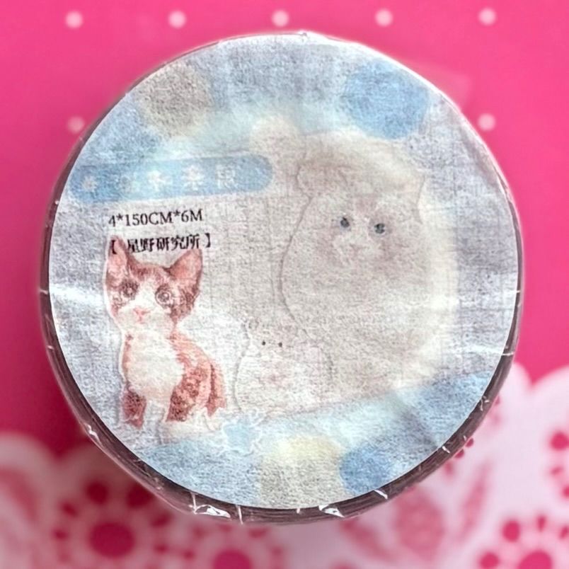 PET 4cm×6m 猫和老鼠 海外マスキングテープ ネコ 【公式通販】