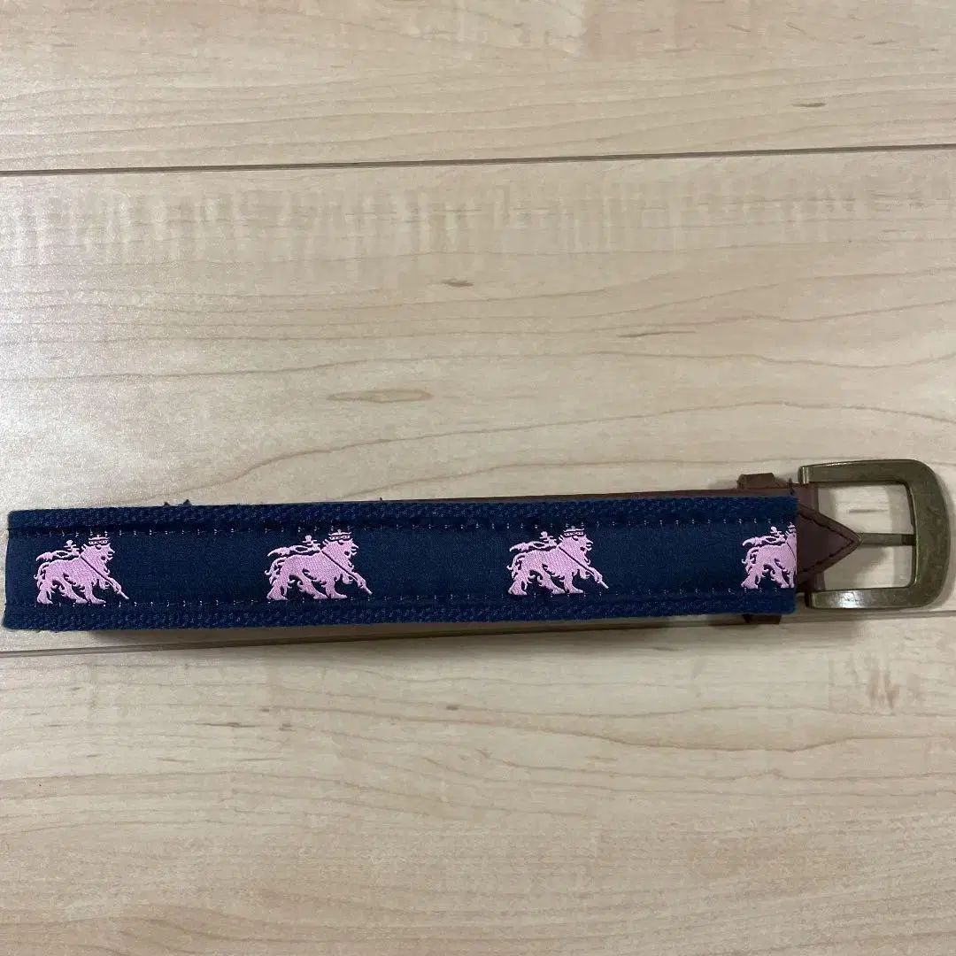 STUSSY ライオン ウェブ ベルト - メルカリ