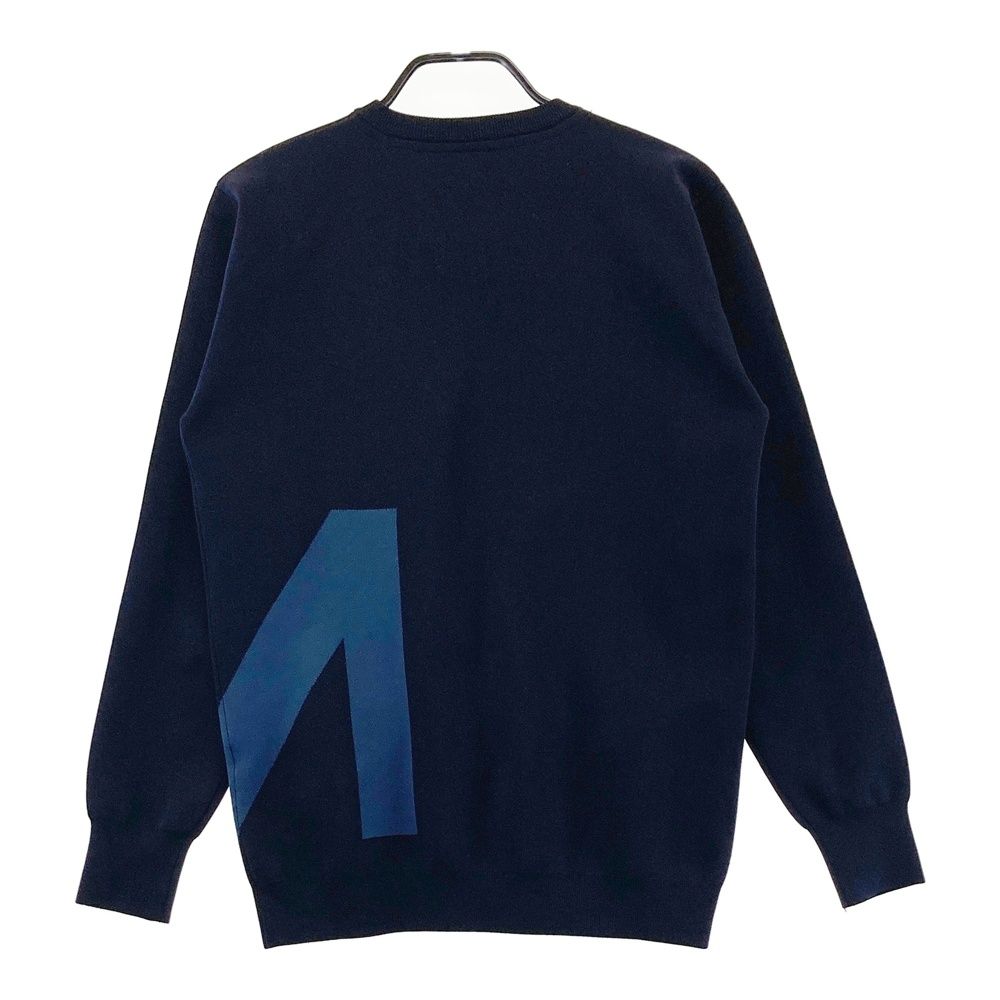 サイズ：M TAYLOR MADE テーラーメイド 2023年 ニット セーター