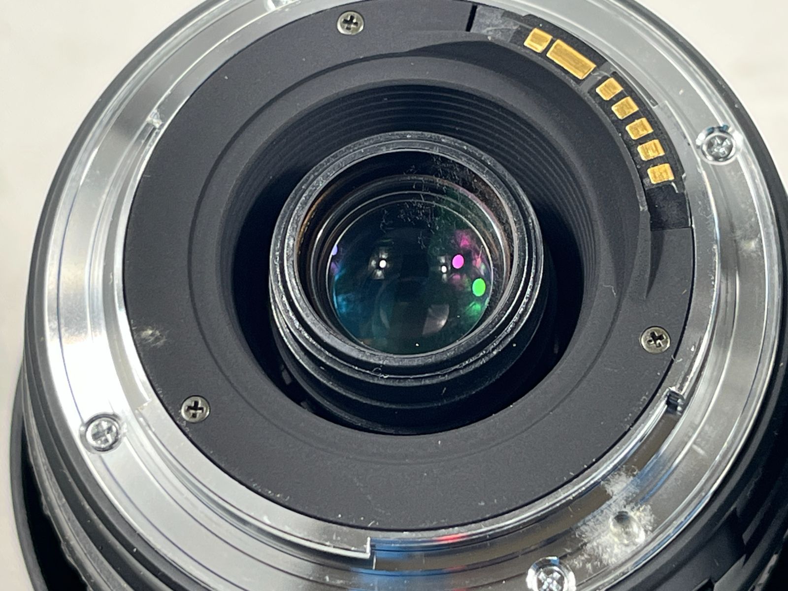 フィルム フィルムカメラ