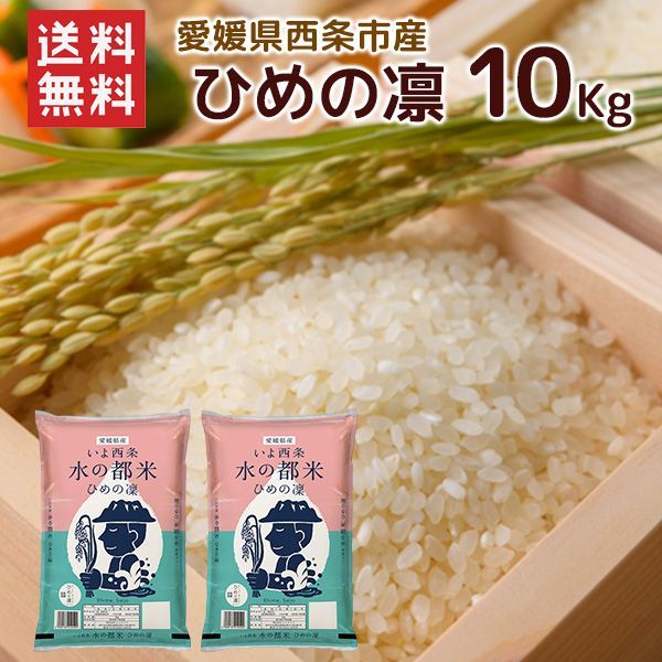 食品 令和7年 愛媛県西条市産ひめの凜10kg（5kg×