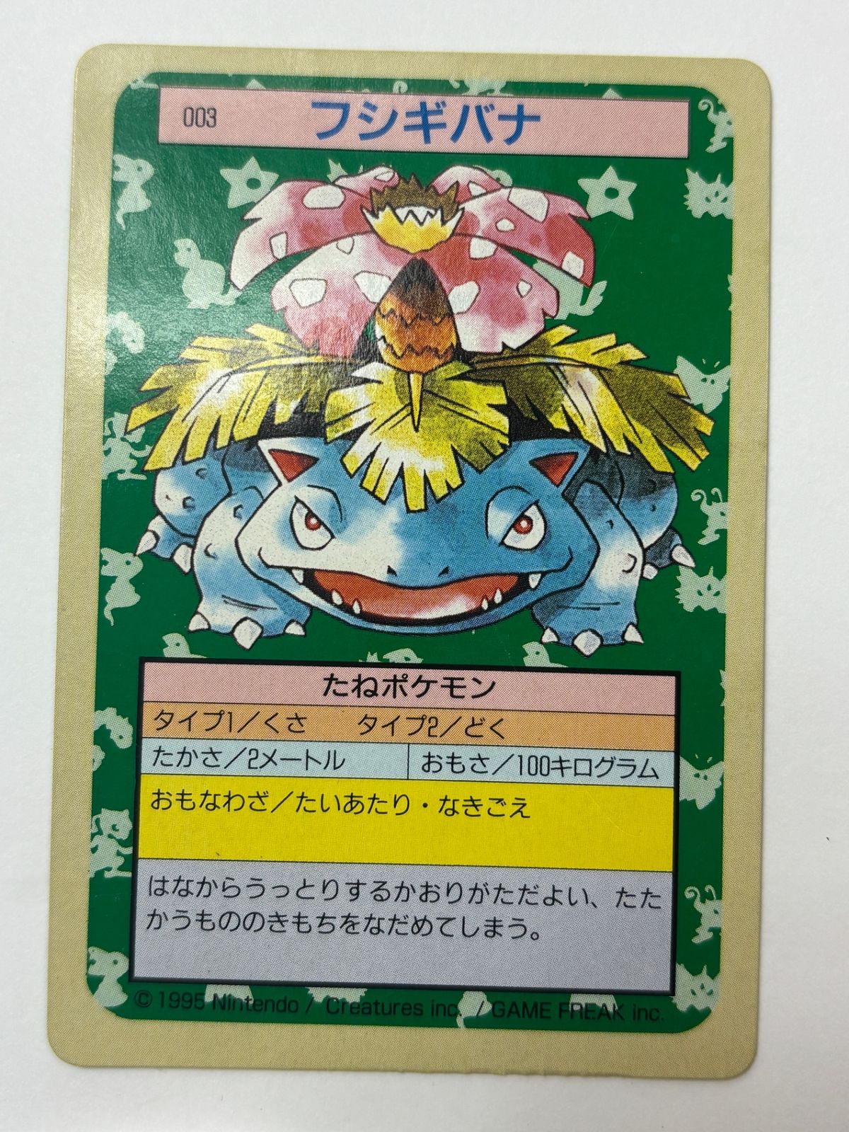 トップサン　フシギダネ　フシギソウ　裏青 トップサンフシギダネフシギソウフシギバナ裏青