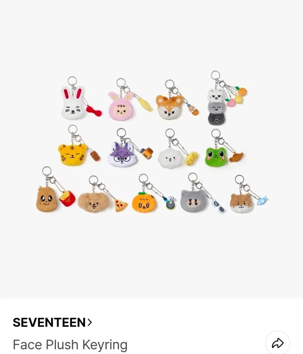 SEVENTEEN メンバー集合グッズセットバラ❌ SEVENTEEN(セブンティーン・セブチ) FACE PLUSH キーホルダー 【公式通販】