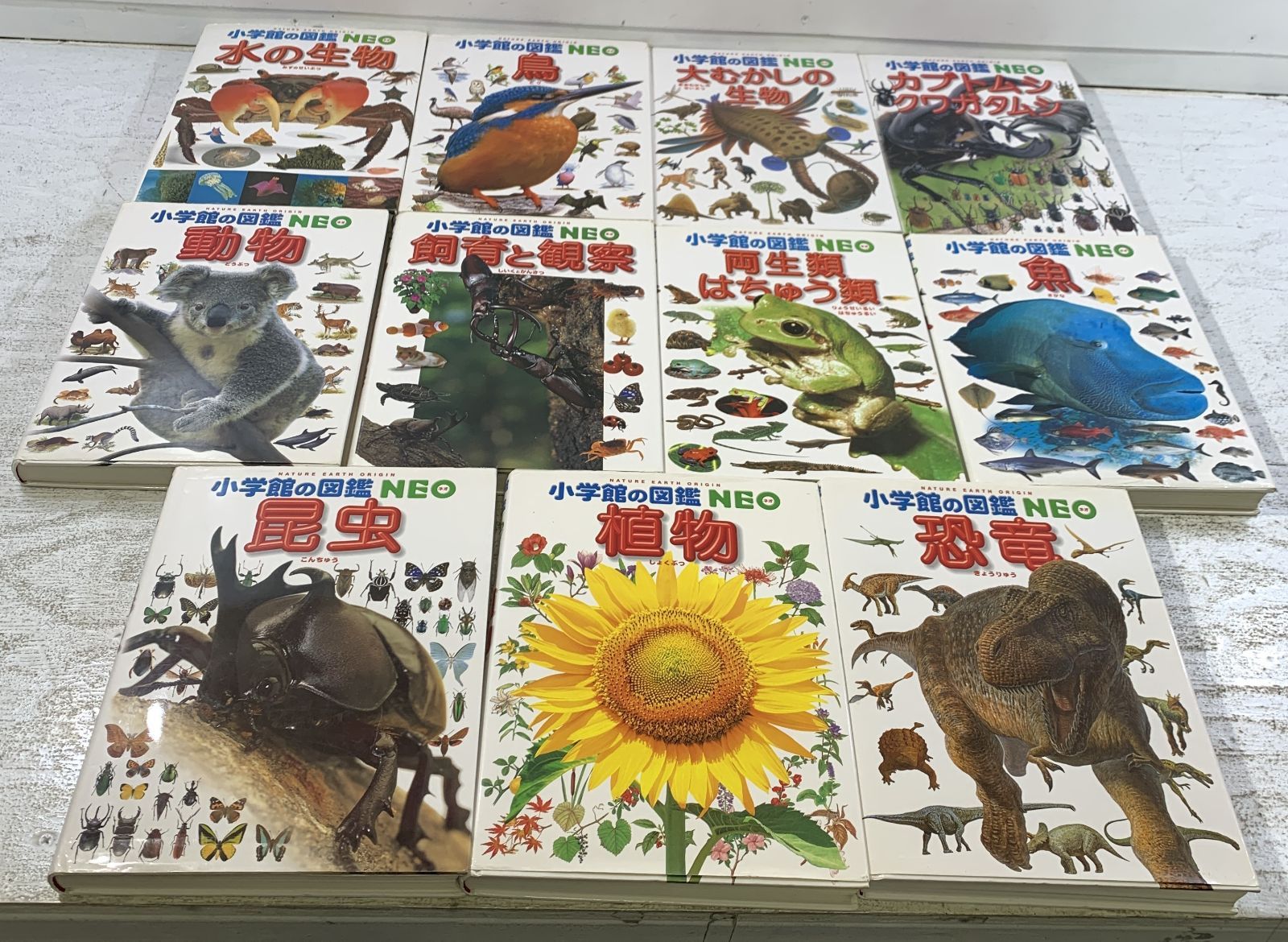紫波1-1-1227]書籍 小学館の図鑑 Neo 11冊セット 中古 - メルカリ
