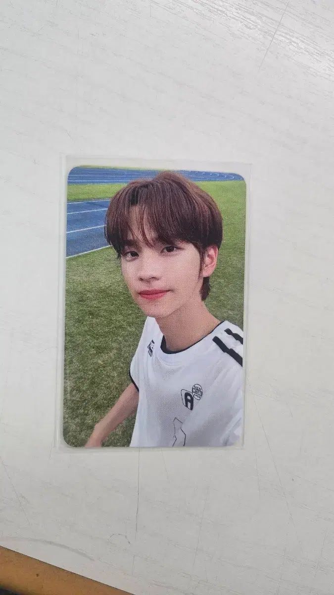 トゥアーズ シニュ 公開番組 サノク トレカ - メルカリ