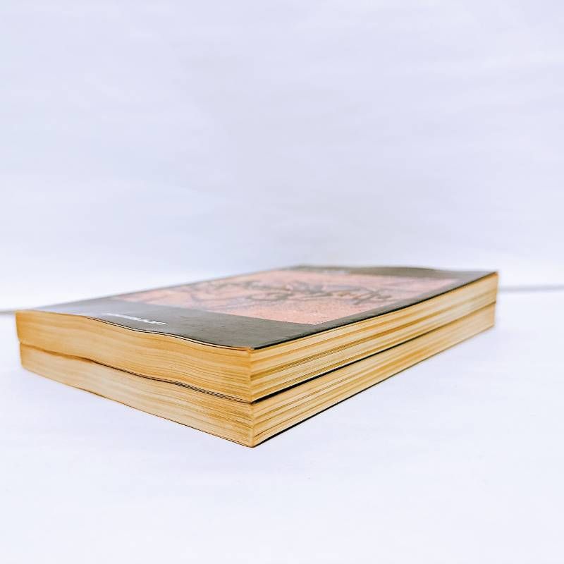 ロマンシングサガ3 攻略本 基礎知識編 完全攻略編 セット ロマサガ3