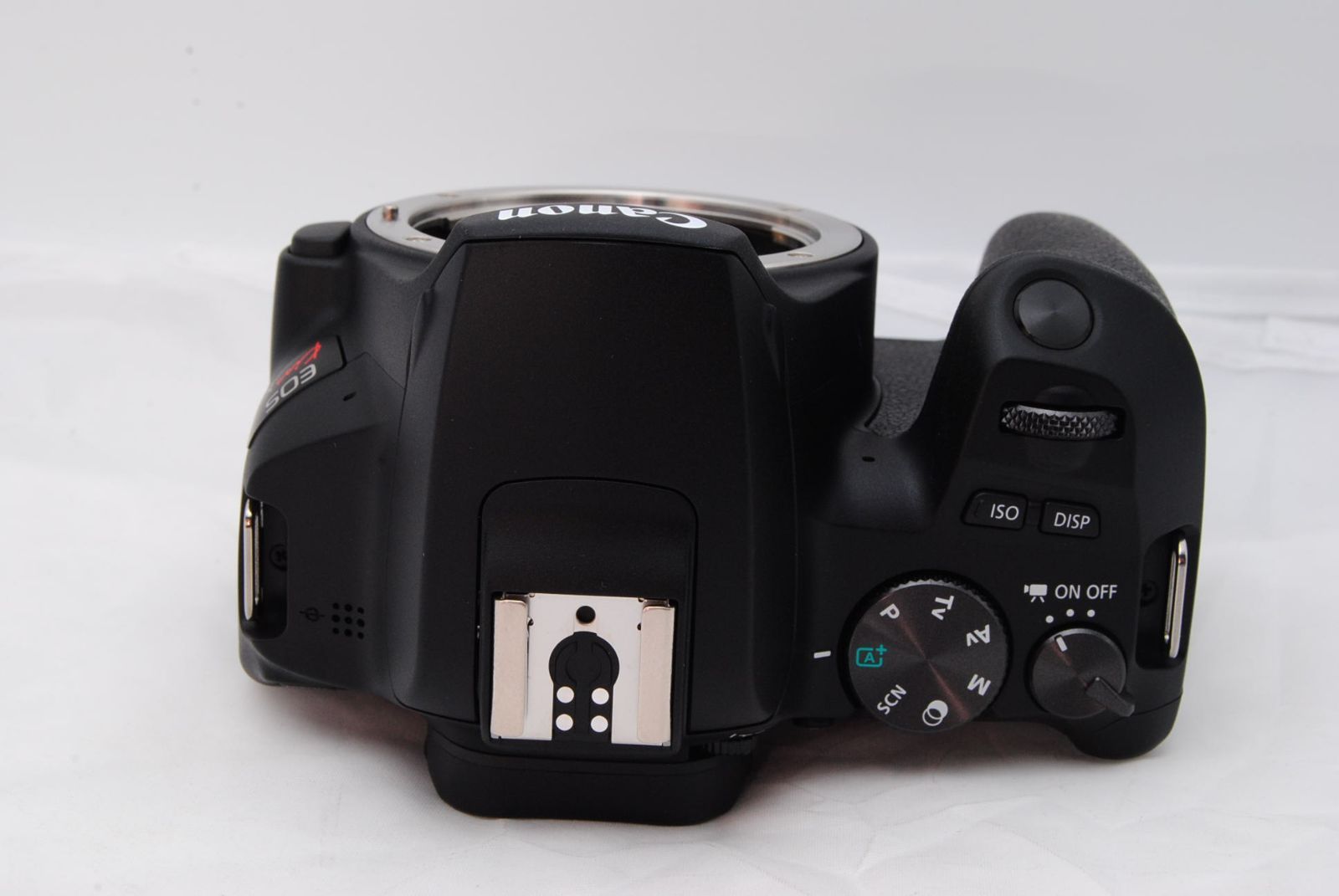 1000ショット以下！新品級 ☆ Canon デジタル一眼レフカメラ EOS Kiss