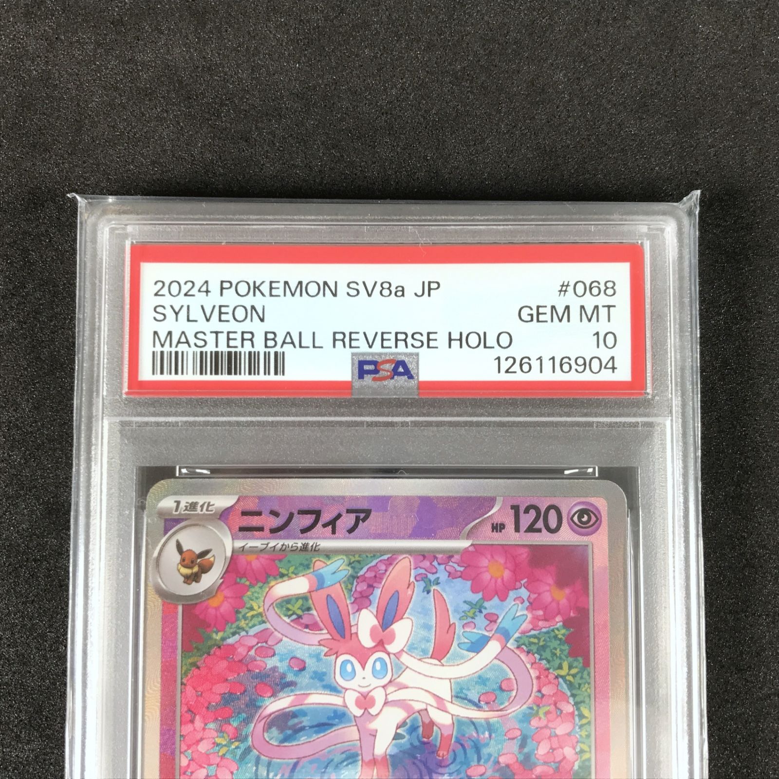 ☆ポケモンカードゲーム スカーレット＆バイオレット テラスタルフェス