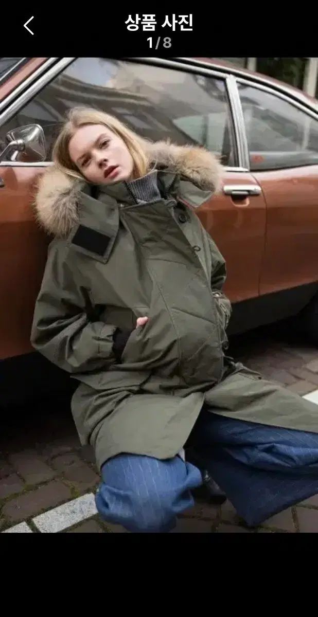 平凡之鹿】ビカクシダ ショップ YMDS Totoro HHRナーセリータグ付け