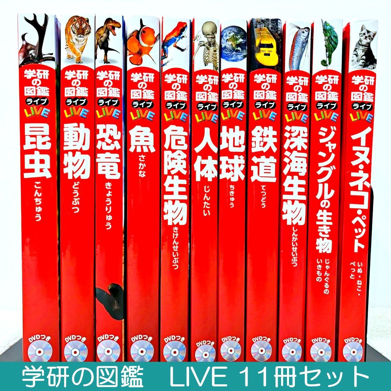 学研の図鑑LIVE 図鑑 11冊 まとめ売り DVD付き 学研の図鑑LIVE 11冊セット - メルカリ