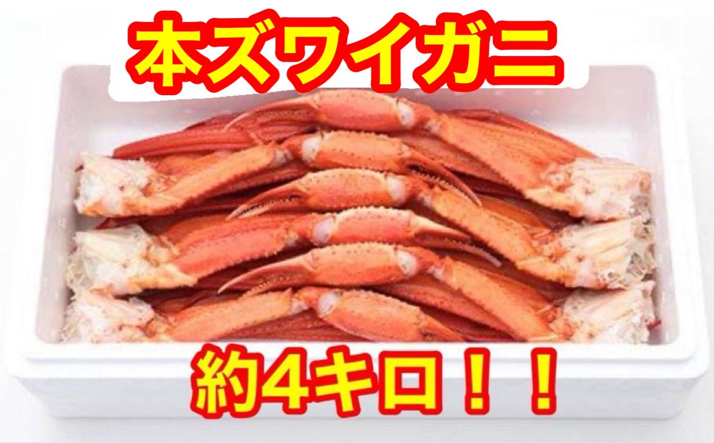 大満足実入り抜群】本ズワイガニ4キロ！早い者勝ち!味良し！実入り良し 