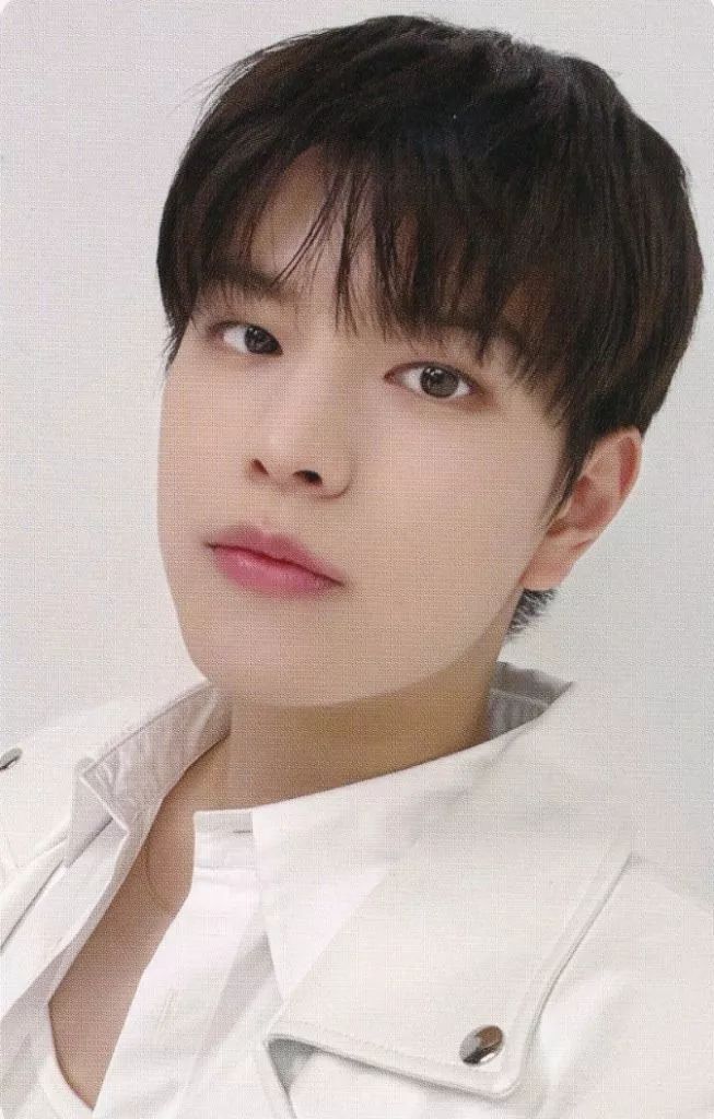 中古】コレクションカード(男性) Stray Kids/Seungmin(スンミン)/CD