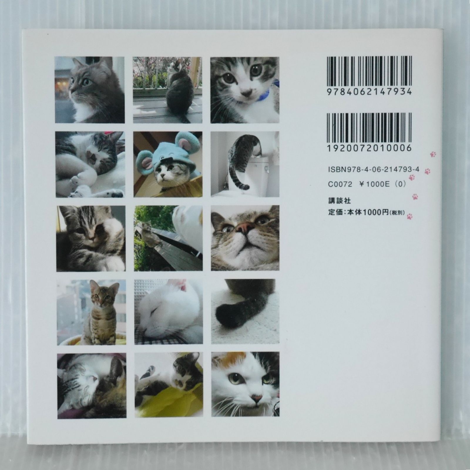 初版 絶版 チーズスイートホーム “ウチの猫”、大集合! - Chi's Sweet