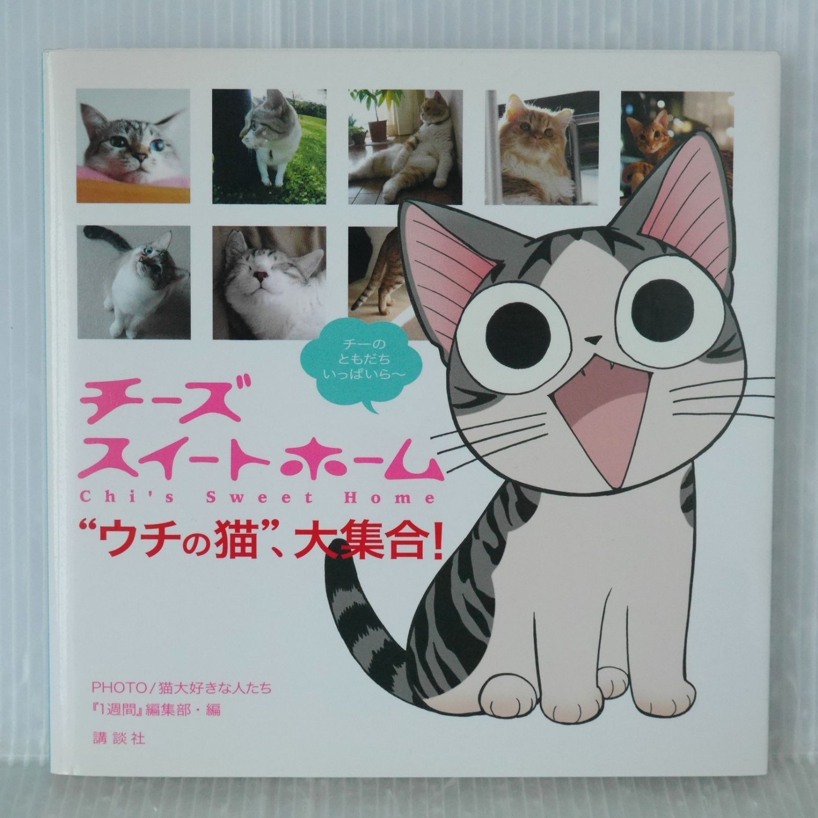 初版 絶版 チーズスイートホーム “ウチの猫”、大集合! - Chi's Sweet