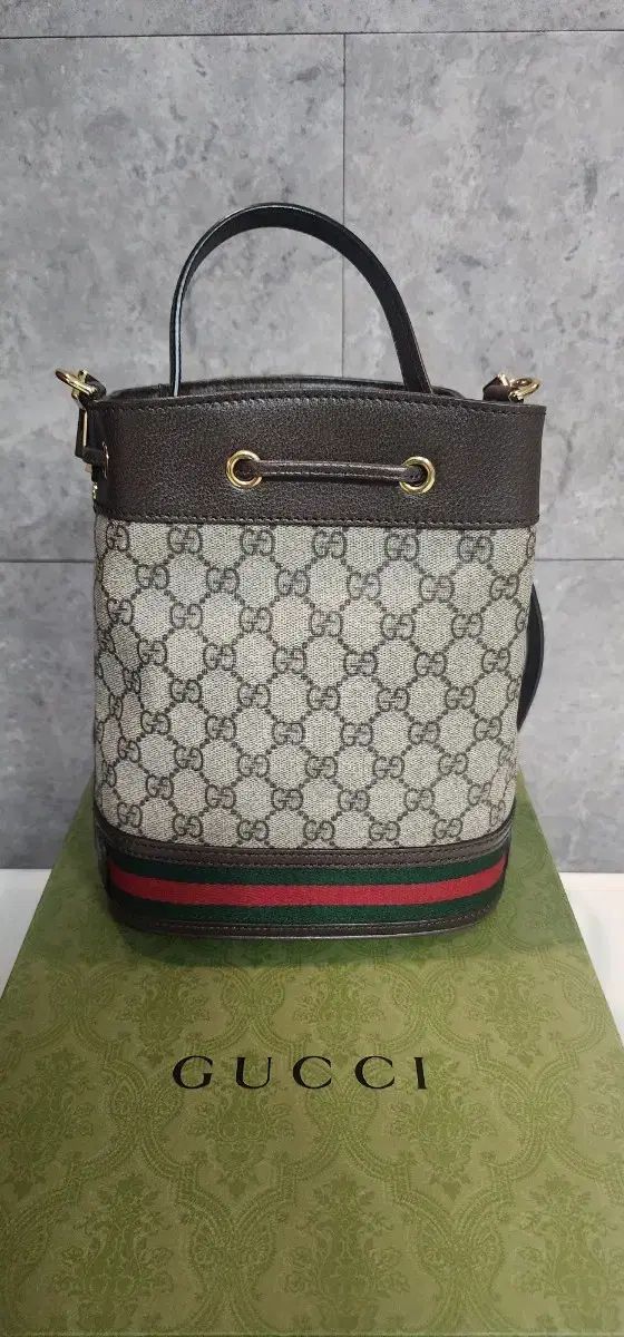 グッチ オフィディア GG バケットバッグ スモール サイズ - メルカリ