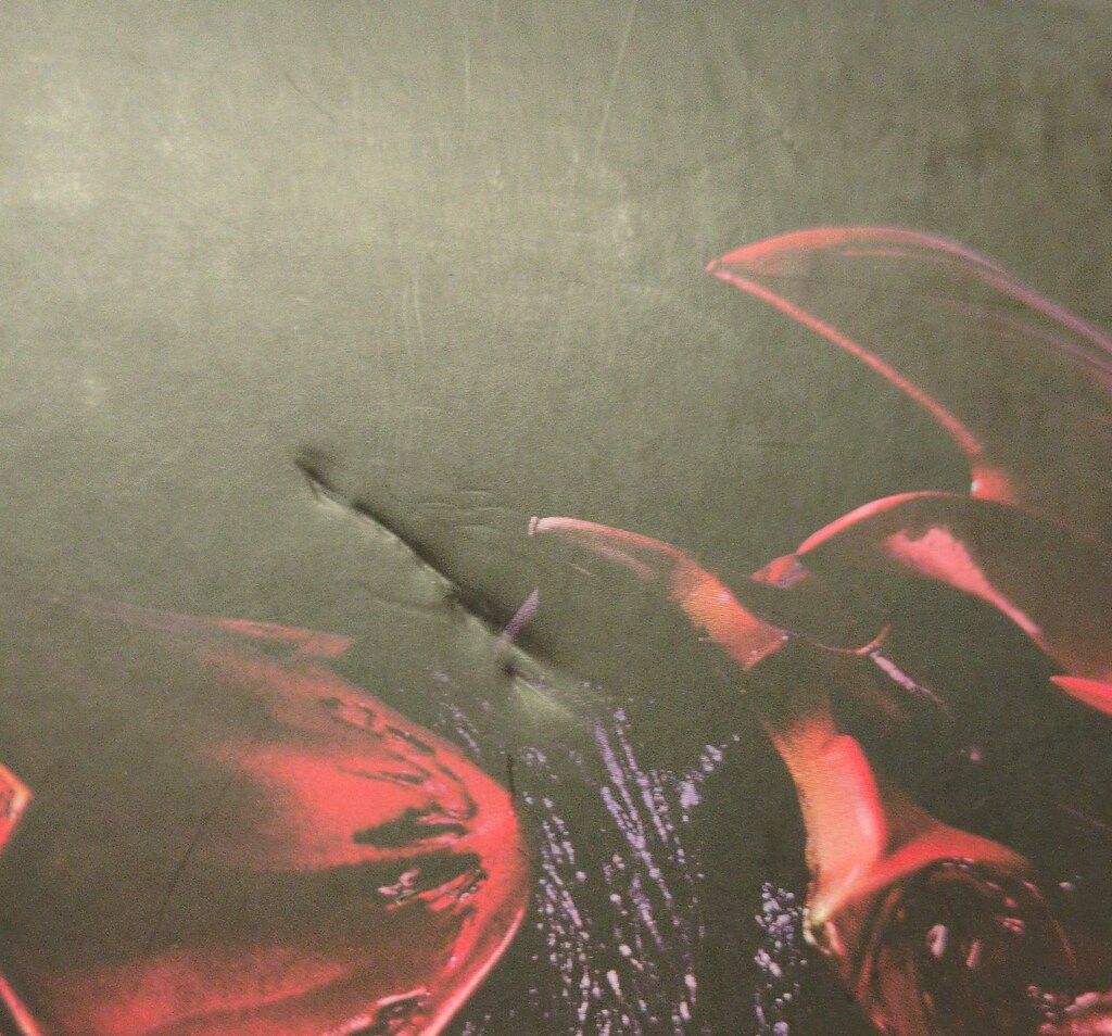 バンダイ コンプリートセレクションモディフィケ-ション 仮面ライダー