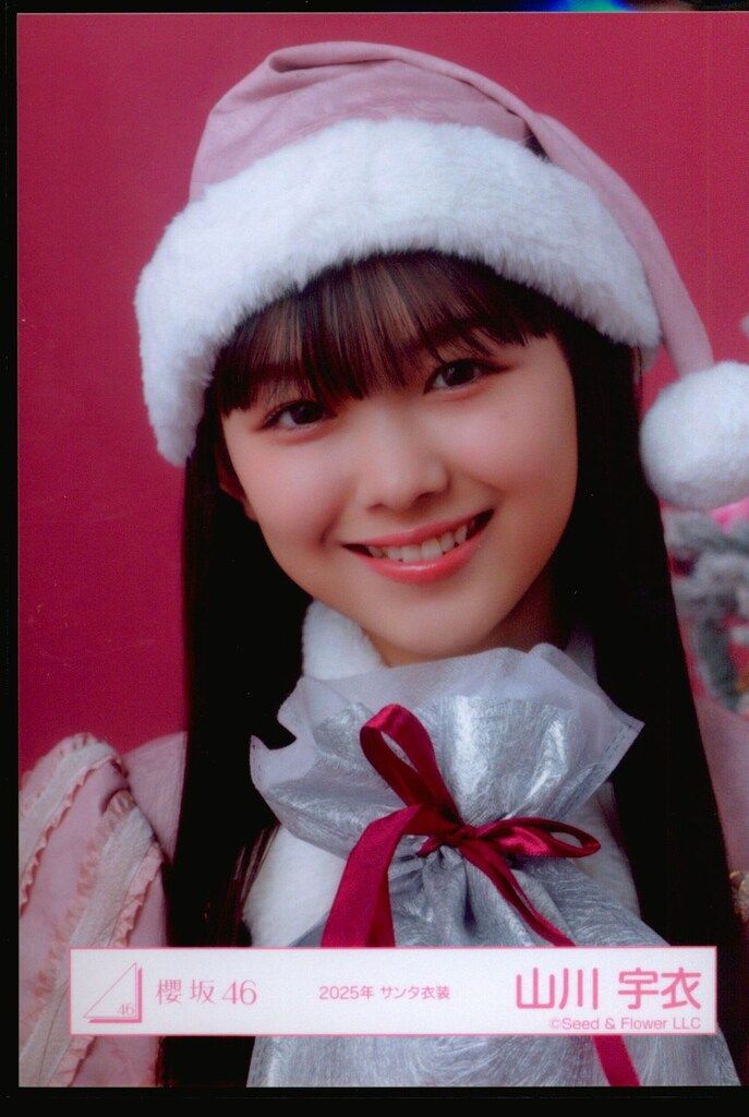 山川宇衣　直筆サイン入り生写真(2025年サンタ衣装) ヒキ　<自引き> 櫻坂46 13th Single BACKS LIVE!! 山川宇衣 2025年 サンタ衣装 ヨリ