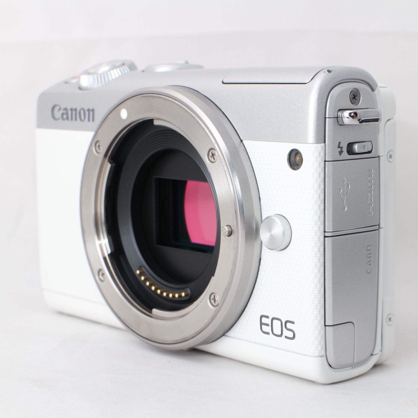 ☆美品☆ Canon キヤノン ミラーレス一眼カメラ EOS M100 ボディ