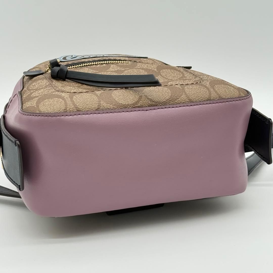 極美品】COACH シグネチャー ミニリュック バックパック レザー PVC