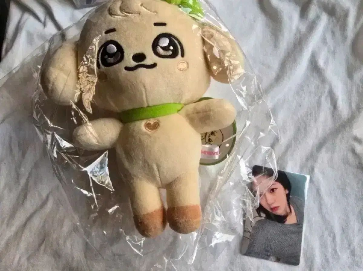 未開封) ユジン7万円特典 トレカ&カンアンジ(GANGANJI)オリジナルPLUSH