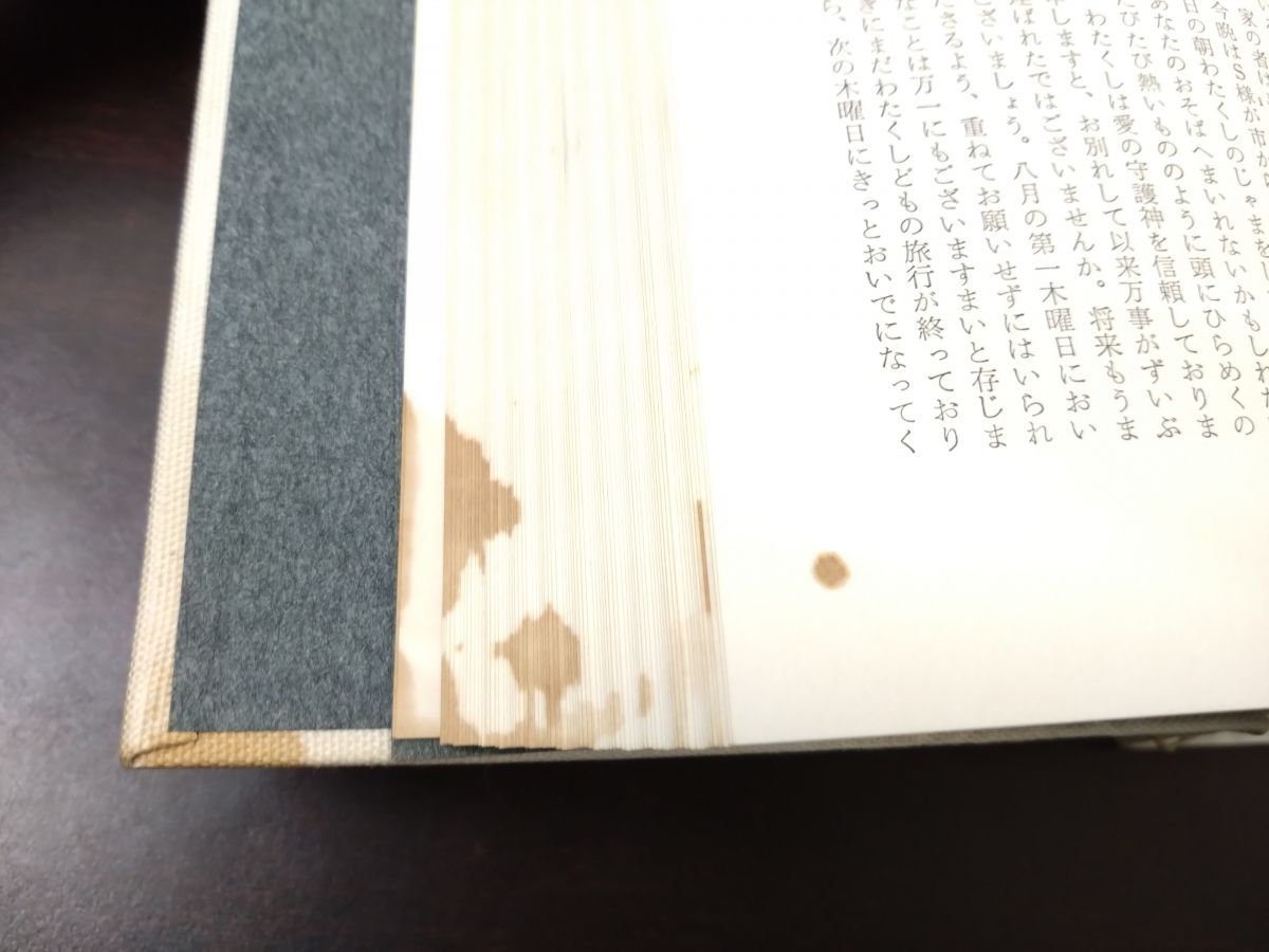 ヘルダーリン全集 全巻セット／4巻揃 河出書房新社【2～4巻月報付