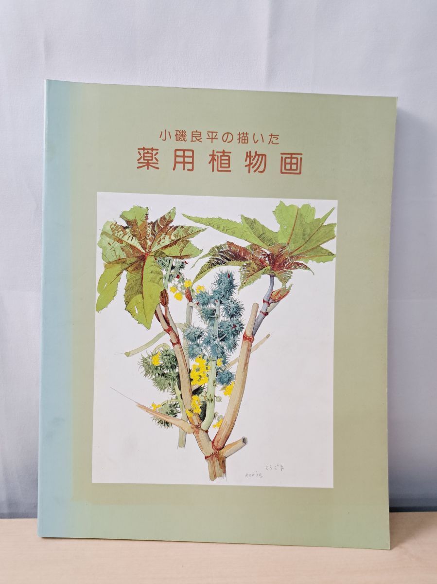 小磯良平、なつめ、高級薬用植物画、版上サイン入り、新品額付 小磯良平の描いた薬用植物画 神戸市立小磯良平記念美術館 - メルカリ