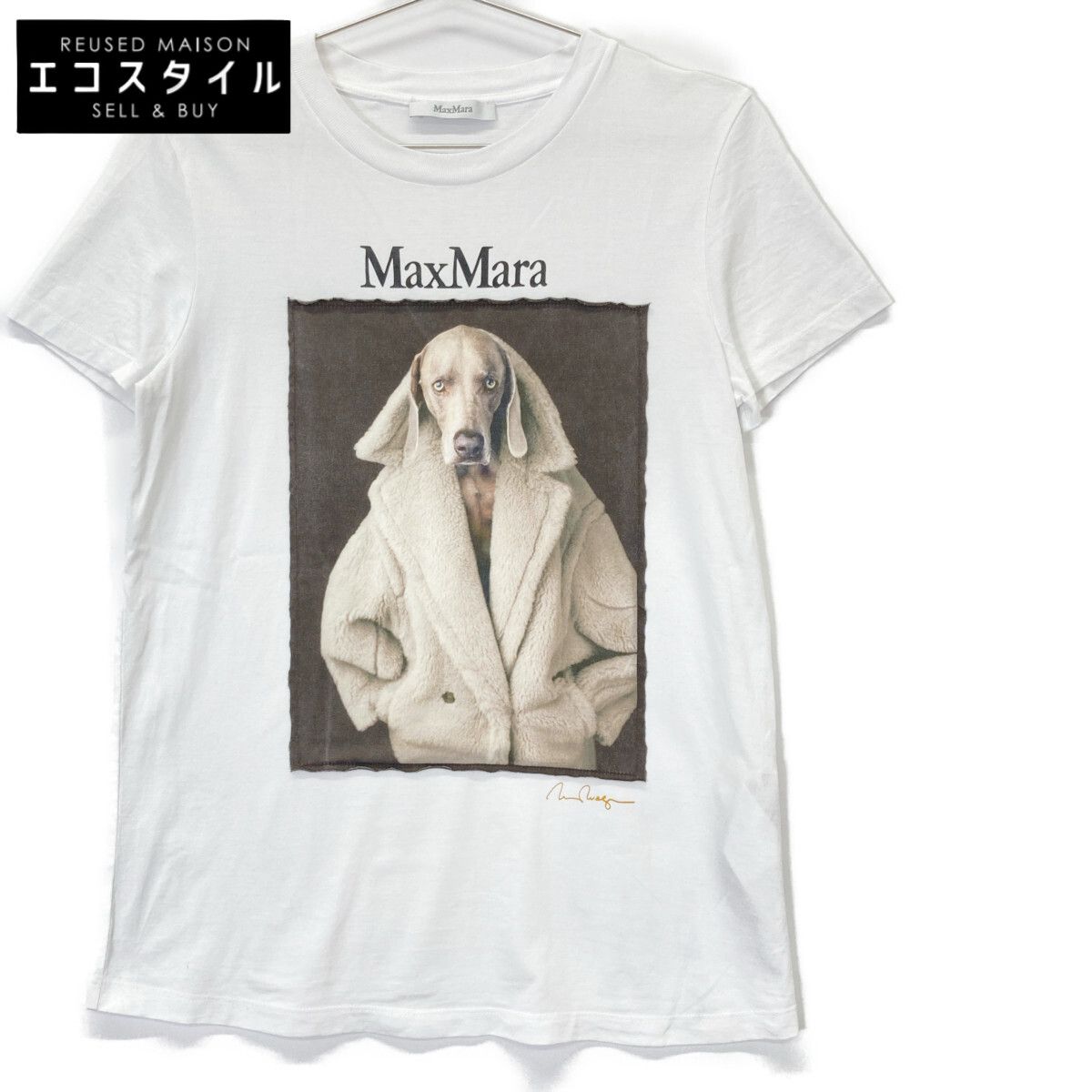 マックスマーラ MAX MARA Tシャツ VALIDO ウェグマンプリント　S Max Mara マックスマーラ 2319460339 ﾎﾜｲﾄ VALIDO ｳｪｸﾞﾏﾝﾌﾟﾘﾝﾄ Tｼｬﾂ S