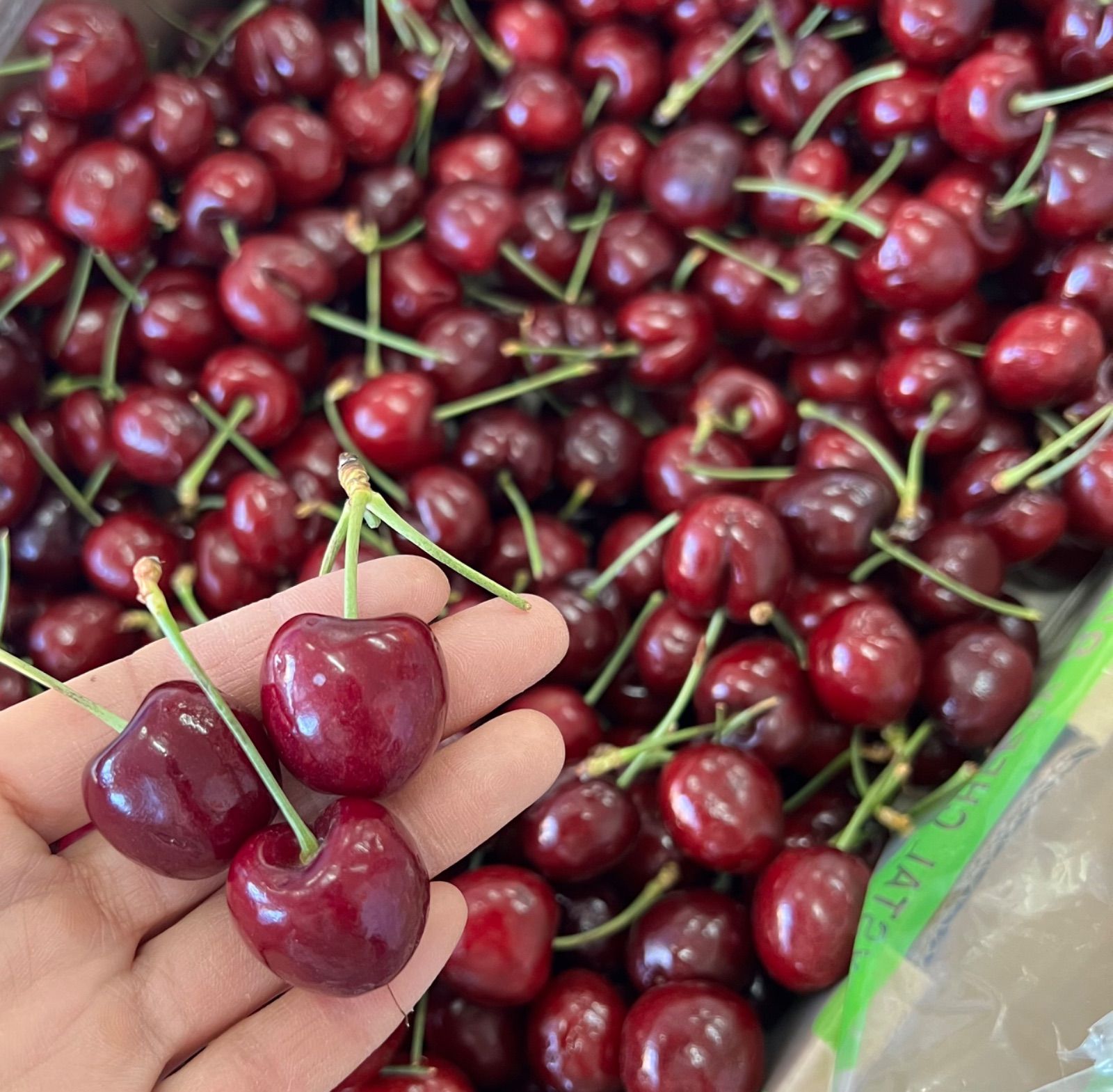 糖度23.4度！チリ産プレミアムチェリー2kg - メルカリ