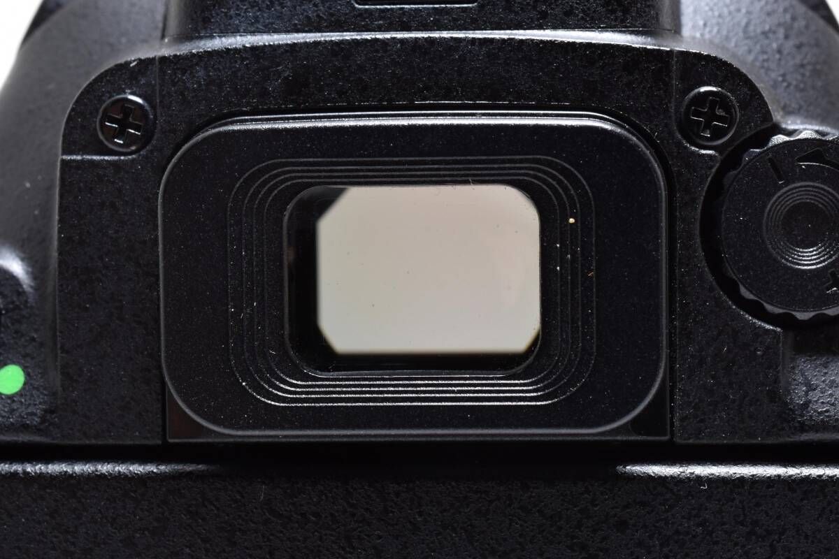 ☆極上美品☆《ショット数17,473回 》Nikon ニコン D5500 ボディ