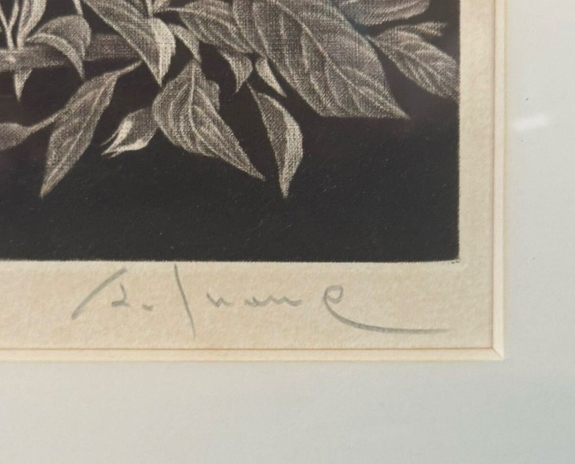 井上篤「薔薇」銅版画 4号 愛媛県出身 個展多数 現代日本美術展同