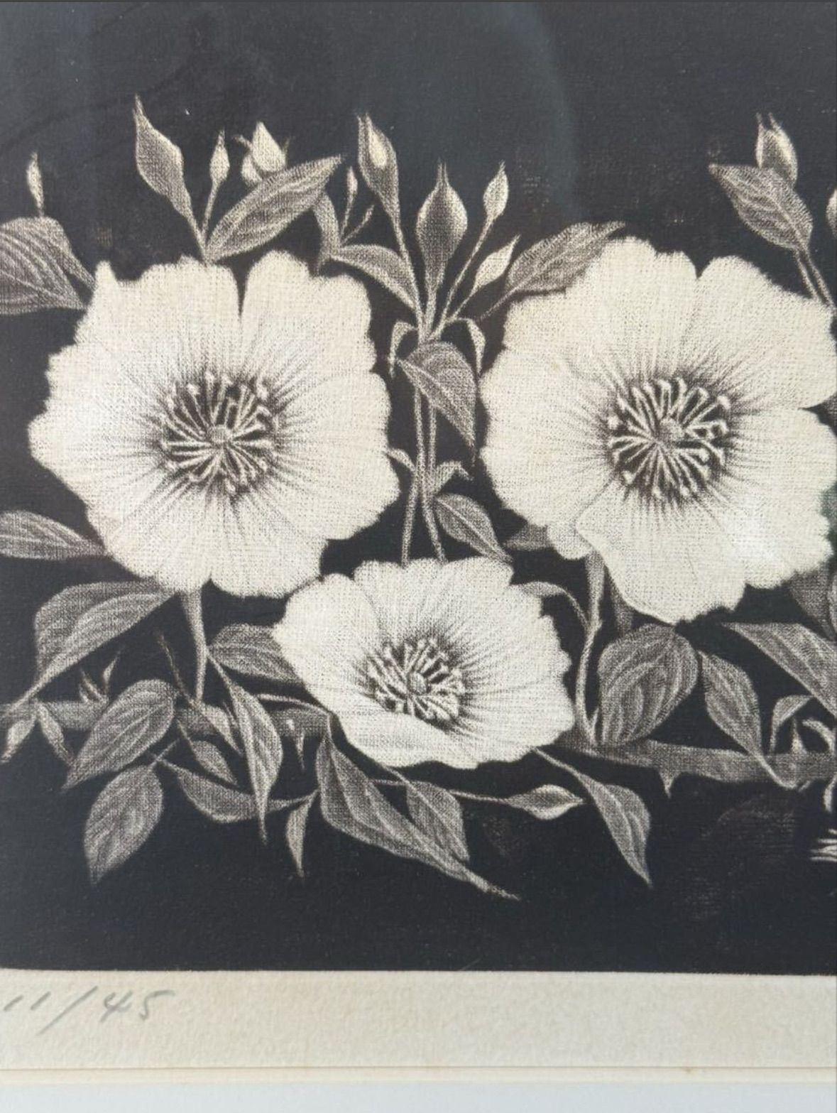 M▽井上篤 銅版画 メゾチント 鳩笛と花 (37965) M▽井上篤 銅版画 メゾチント 鳩笛と花 (37965) 【公式通販】