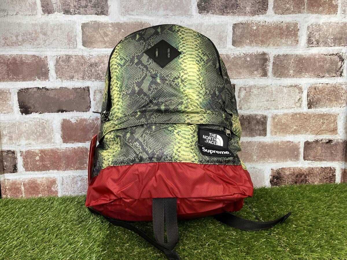 Supreme×THE NORTH FACE/シュプリーム/ノースフェイス/18SS/Snakeskin
