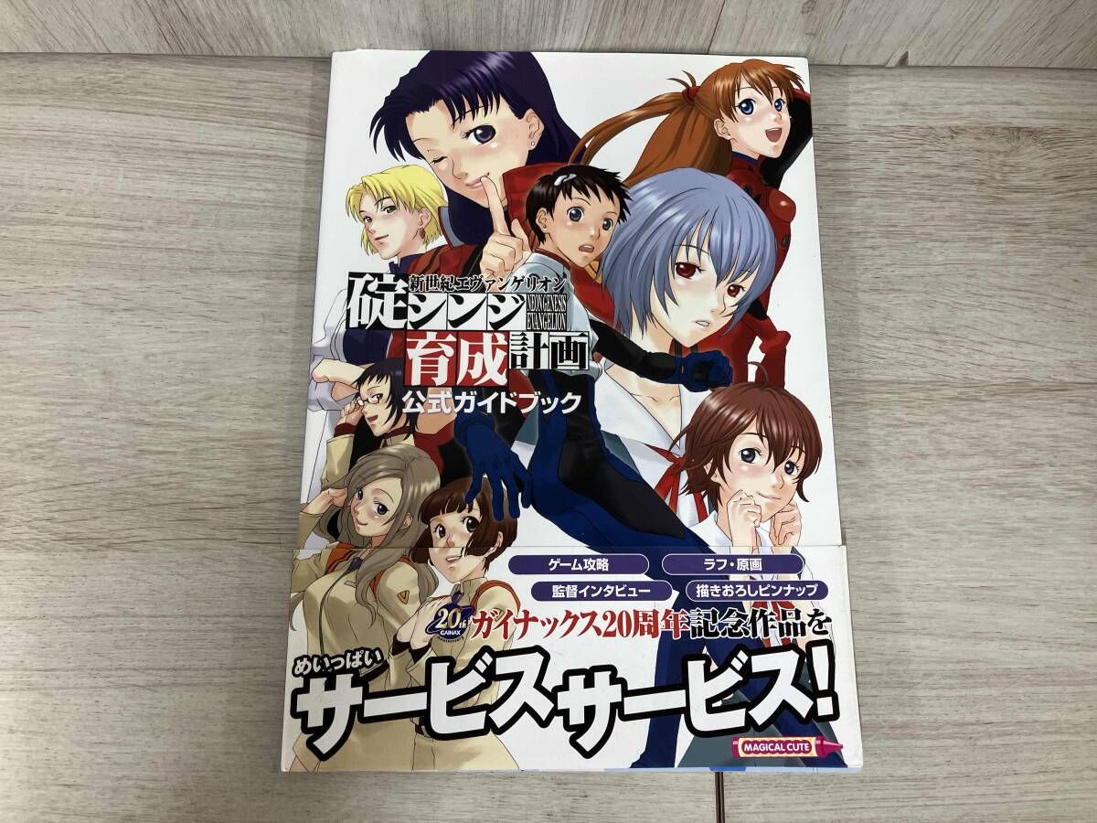 新世紀エヴァンゲリオン 全巻　公式ガイドブック　碇シンジ育成計画　全巻　ピコピコ 新世紀エヴァンゲリオン碇シンジ育成計画 公式ガイドブック ログイン