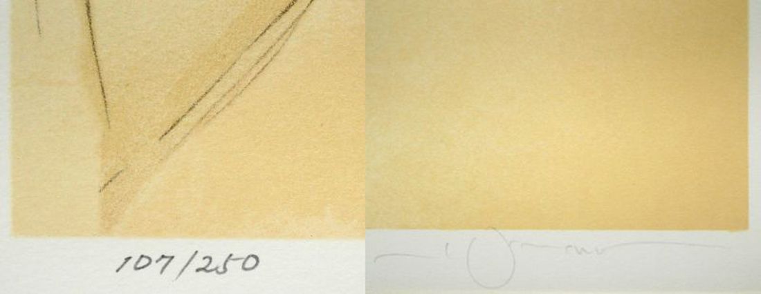 天野 喜孝「恋花-れんか-」リトグラフ・限定直筆サイン入り・保証書