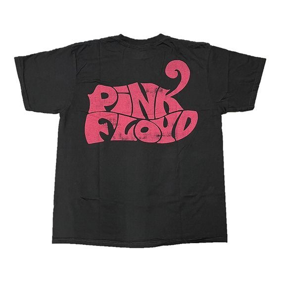 Pink Floyd / ピンク フロイド Tシャツ A Momentary Lapse of Reason