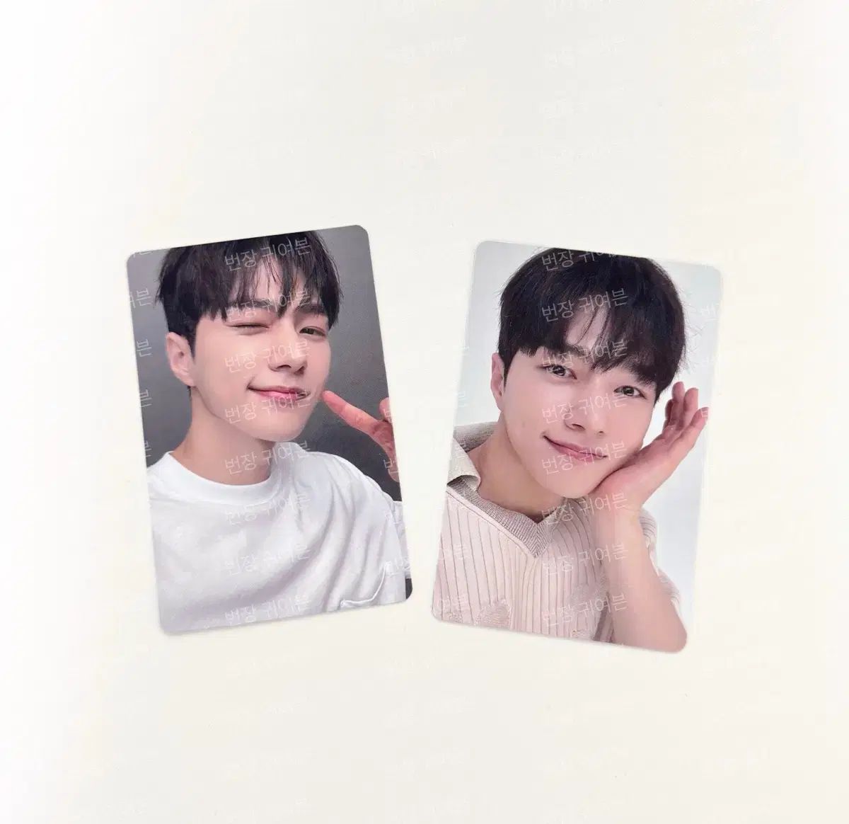 INFINITE Lエル ミョンス DEAR MY MUSE 限定 未公開トレカ INFINITE(インフィニット) L エル キム・ミョンス(KIM MYEONGSU