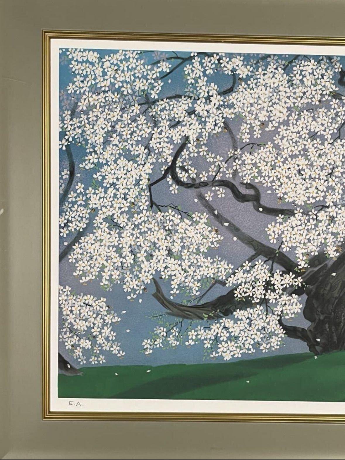 美品 掛け軸 中島千波筆「臥龍桜」名画 解説付 縁起物 日本画 【公式通販】