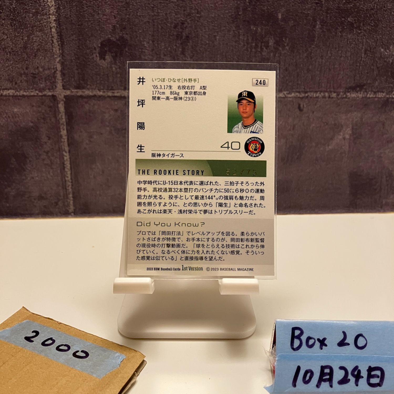 阪神タイガース 井坪陽生 赤枠版 ルーキーカード シリアルナンバー5/5