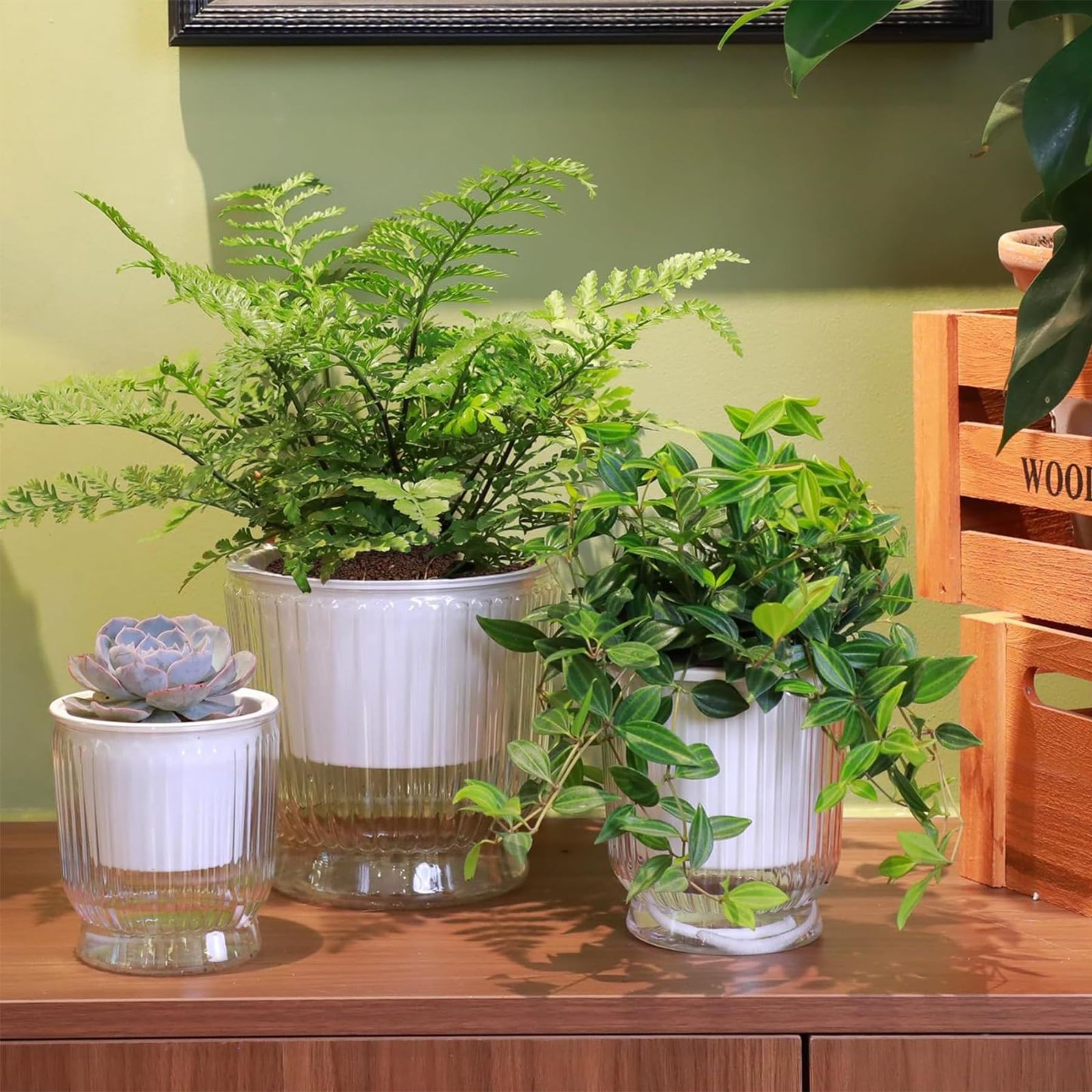 T4U 16CM 給水プランター 植木鉢 プラスチック 4個セット 観葉植物 鉢 