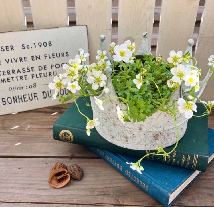 ちゃちゃ様 専用ページ - メルカリ