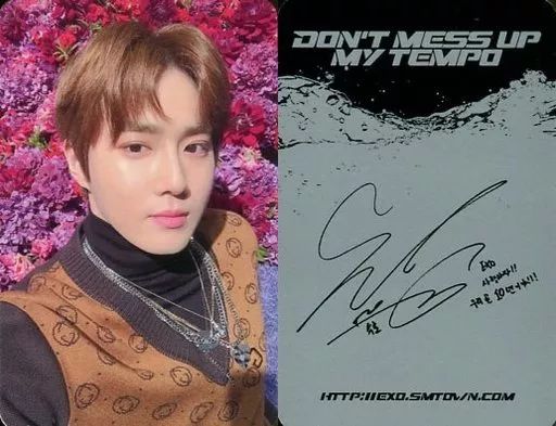 中古】コレクションカード(男性) EXO/スホ(SUHO)/裏面グレー・印刷