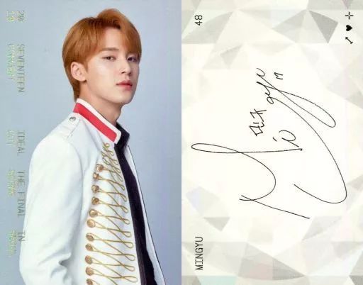 SEVENTEEN MINGYU トレーディングカード 中古】コレクションカード(男性) 48：SEVENTEEN/MINGYU(ミンギュ