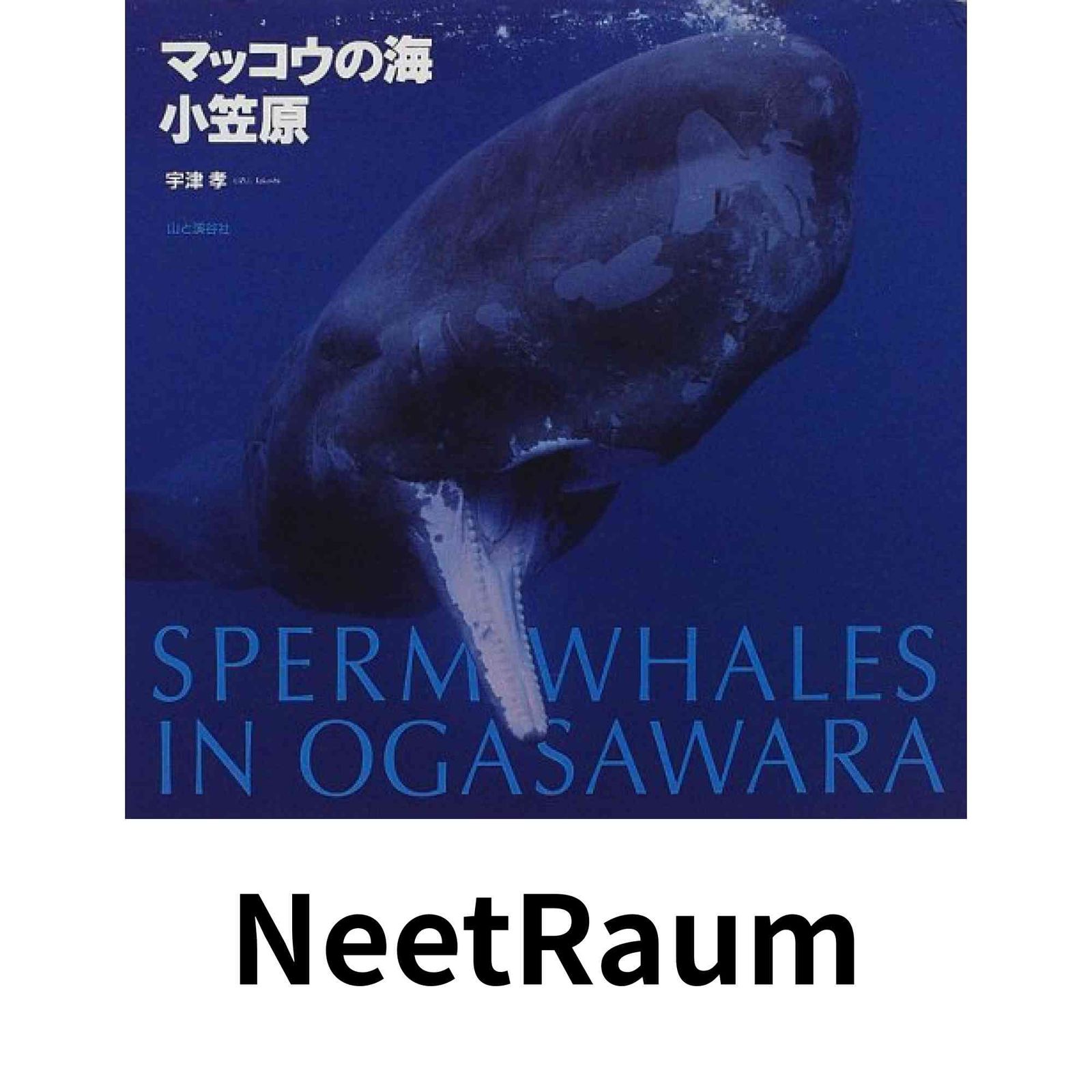 販売 Analogue Productions Borodin Rimsky Korsakoff ロンドン響