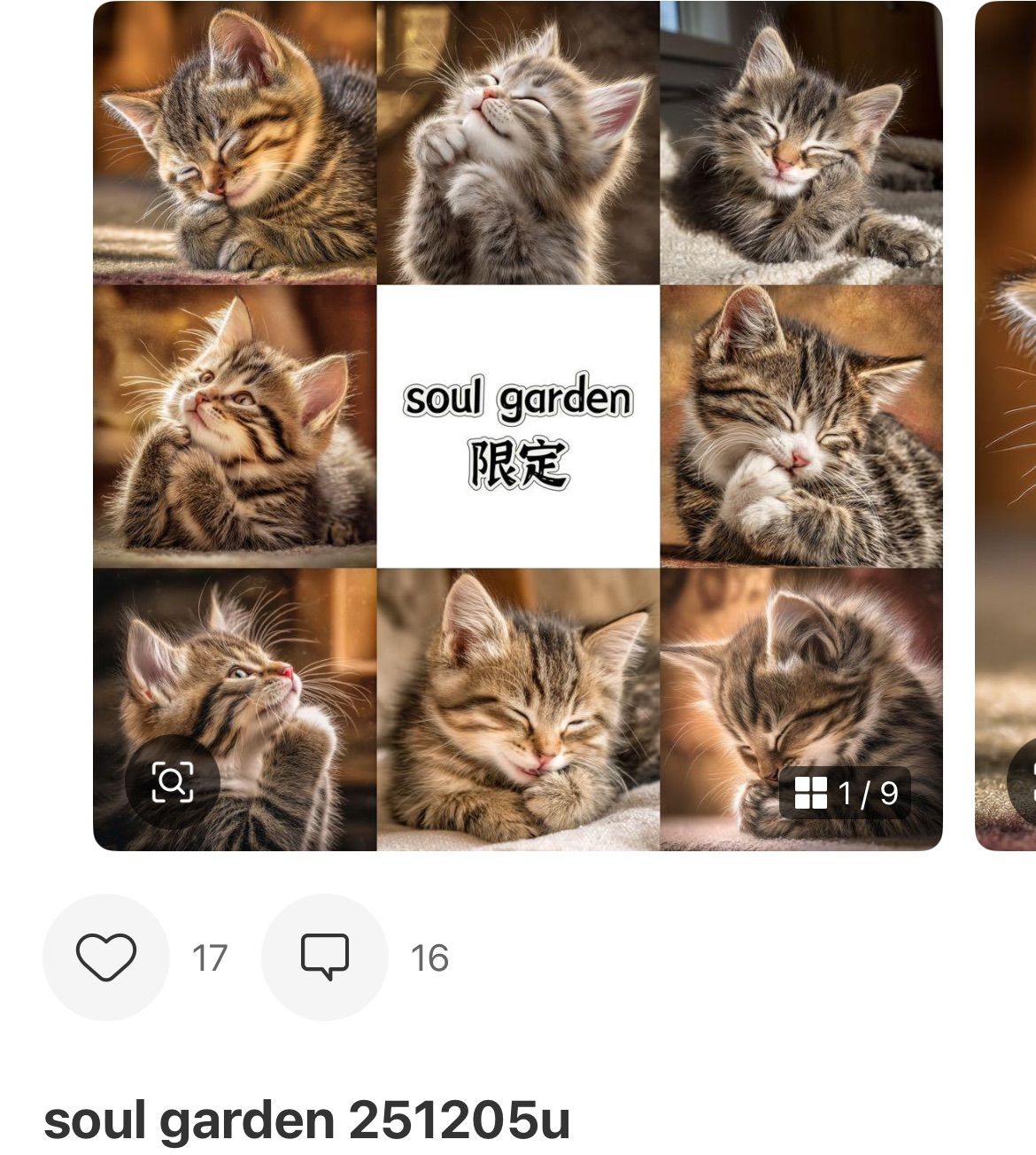 うさにゃん☆プロフを必ずお読みください様専用 - メルカリ