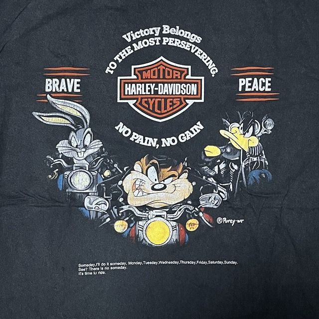 Harley-Davidson Looney Tunes / ハーレーダビッドソン ルーニー